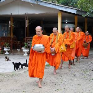 ตักบาตรเข้าพรรษา ปี 66